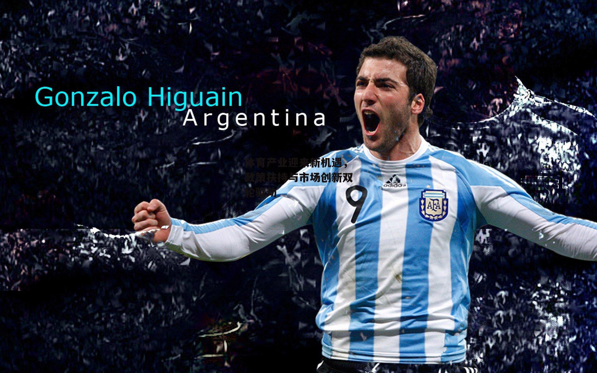 体育产业迎来新机遇，政策扶持与市场创新双轮驱动