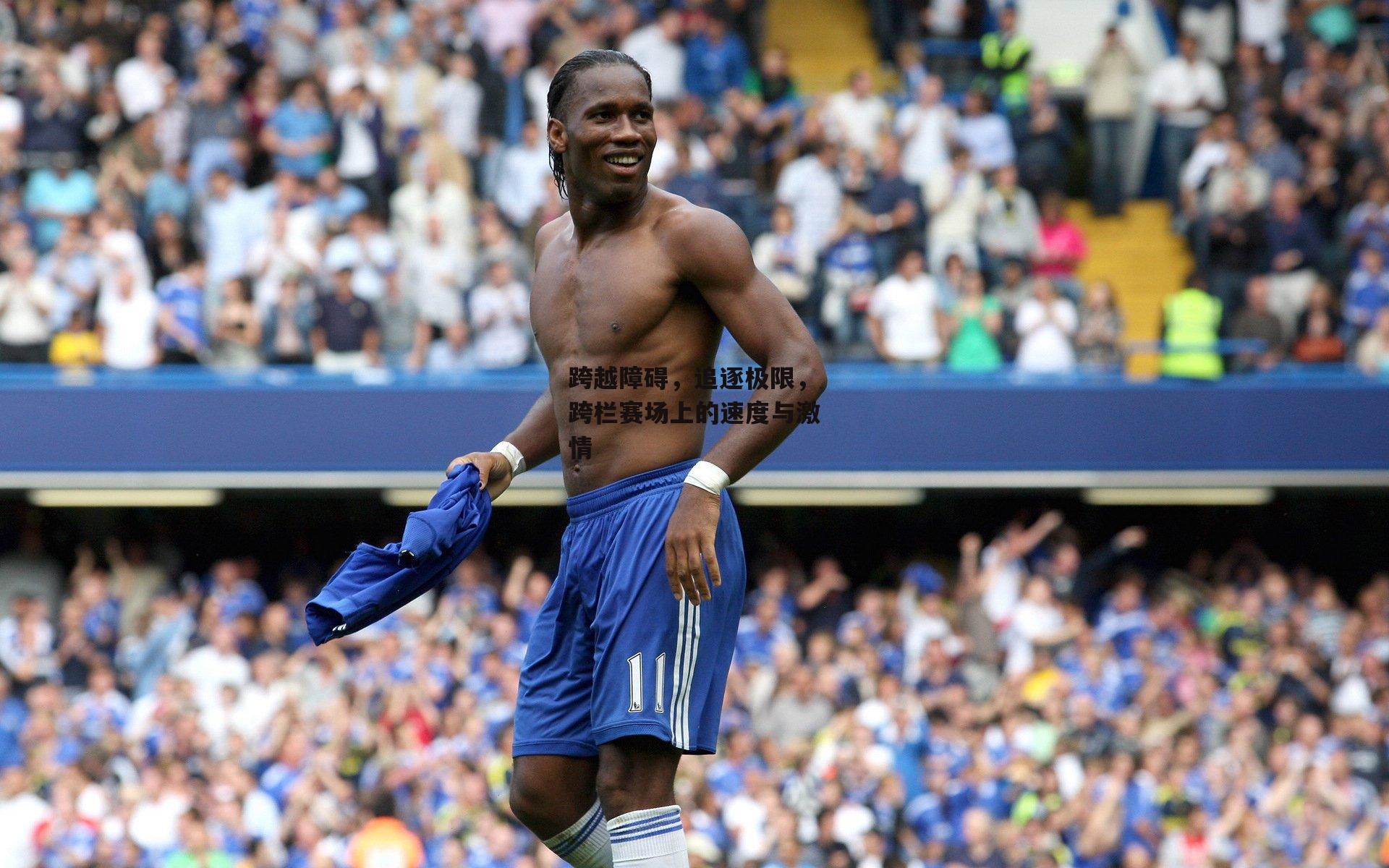 跨越障碍,追逐极限,跨栏赛场上的速度与激情